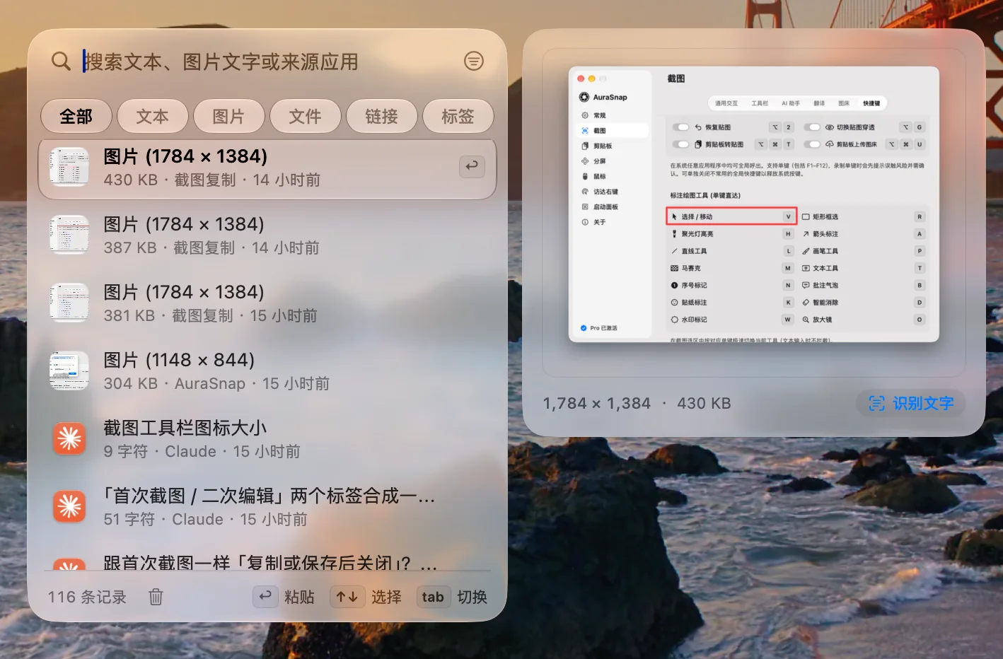 剪贴板面板:顶部搜索与分类,左侧历史列表,右侧大图预览与识别文字按钮